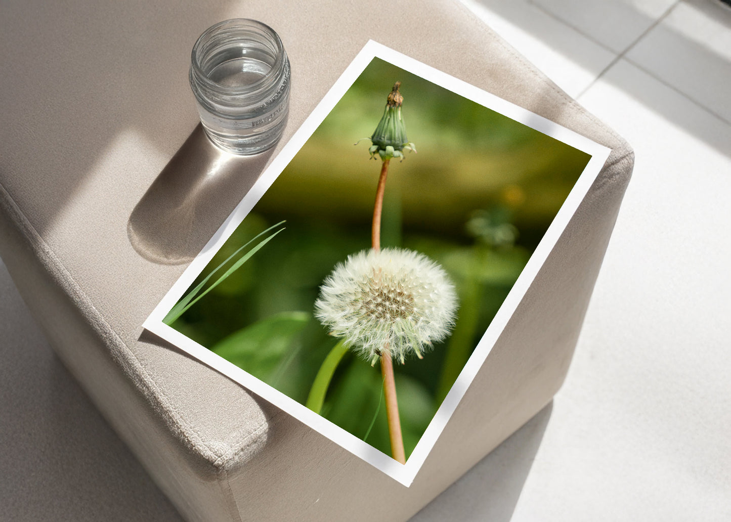 Dandelion