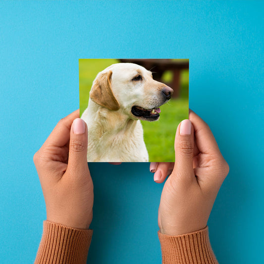 Mini Prints