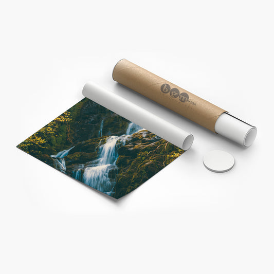 Poster Prints